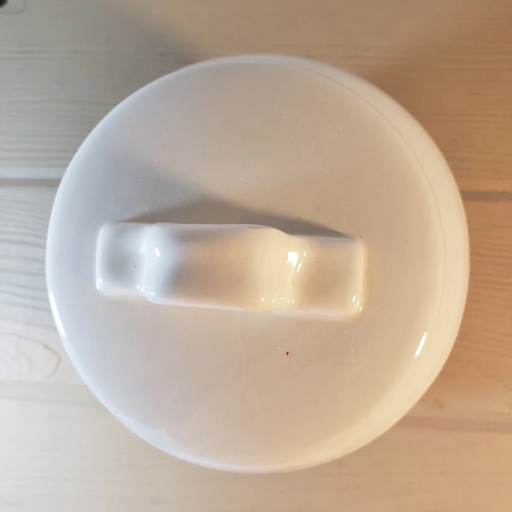 Rae Dunn Artisan Collection Cookie Jar NWT